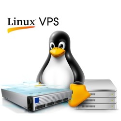 Express Linux VPS